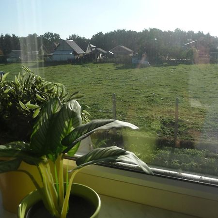De Alpacaboerderij Apartment Bocholt Room photo