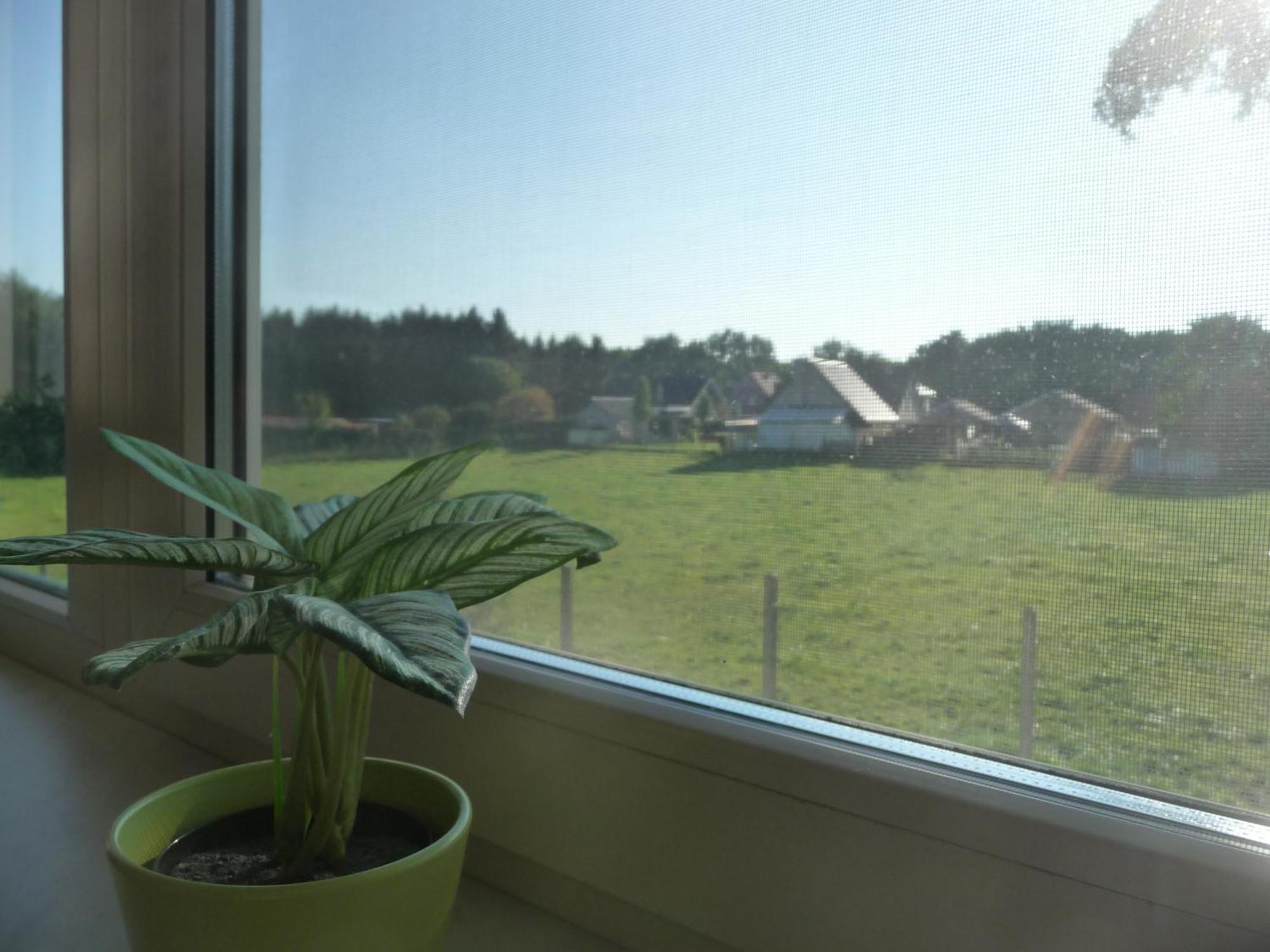 De Alpacaboerderij Apartment Bocholt Room photo