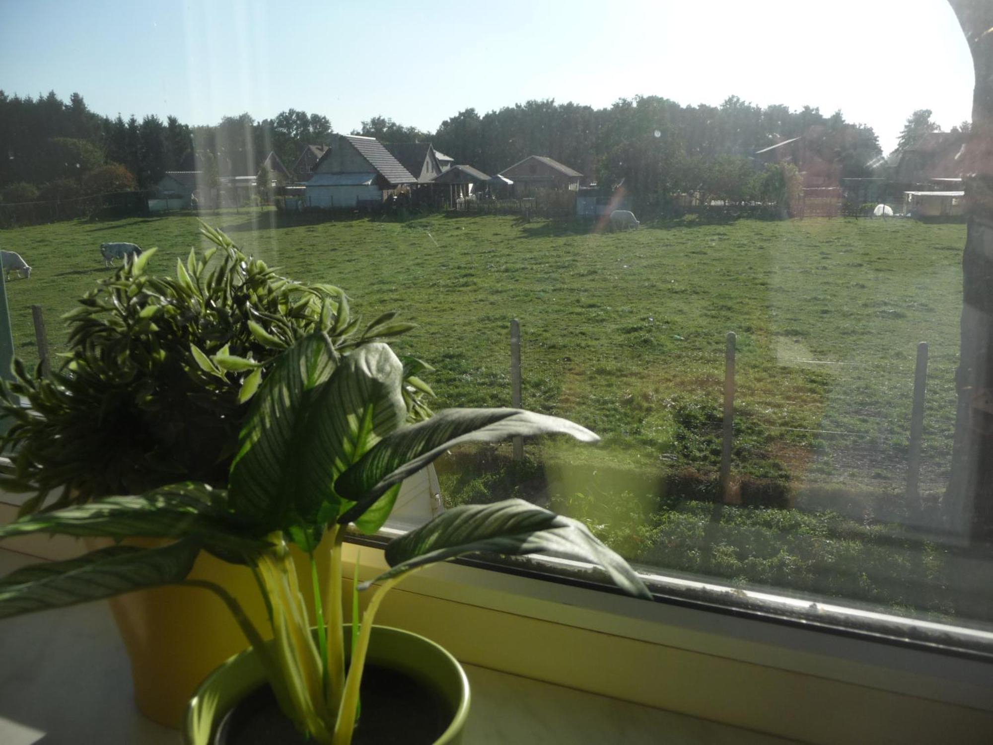 De Alpacaboerderij Apartment Bocholt Room photo